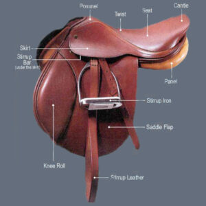 https://www.nadriexporters.com/wp-content/uploads/2021/01/measure_english_saddle-300x300.jpg