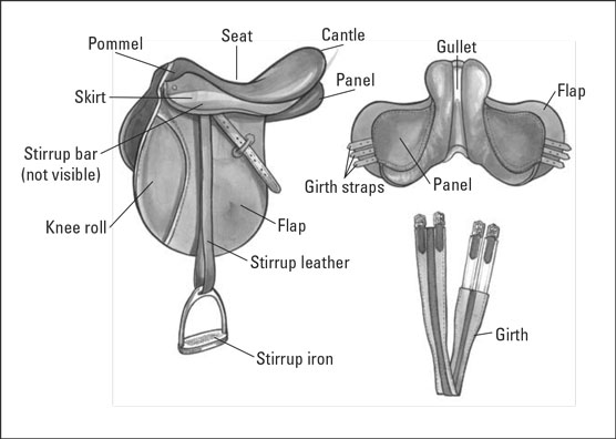 https://www.nadriexporters.com/wp-content/uploads/2021/02/PARTS-OF-ENGLISH-SADDLE.jpg