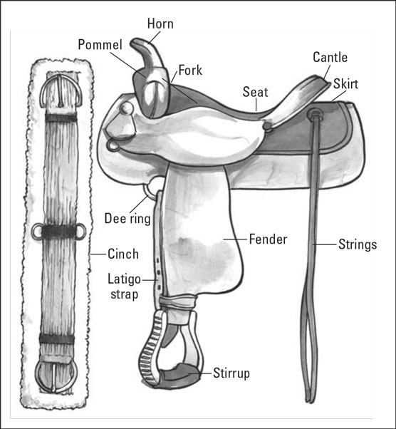 https://www.nadriexporters.com/wp-content/uploads/2021/02/PARTS-OF-WESTERN-SADDLE.jpg